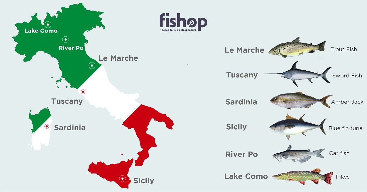 top 6 spots where you can find plenty of fish